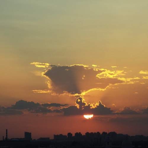 Photo #11114901