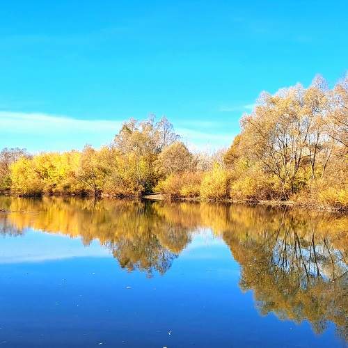 Photo #11114916