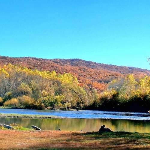 Photo #11114984