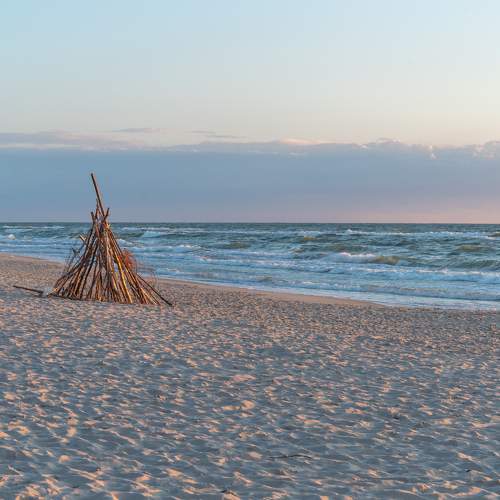Photo #11115209