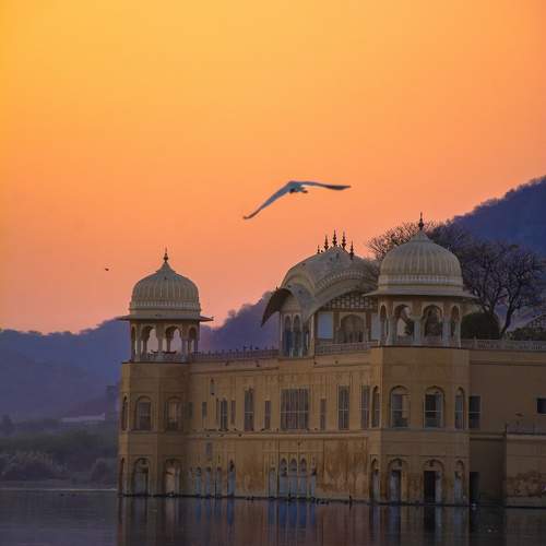 Photo #11115390