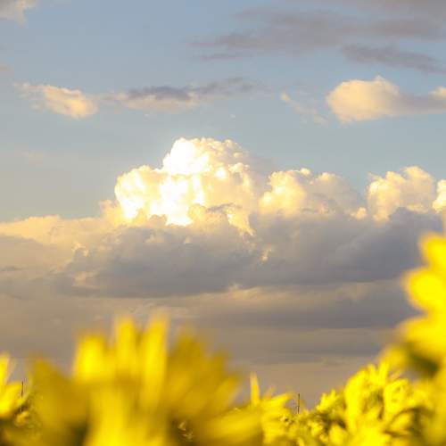 Photo #11115414