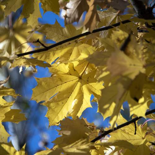Photo #11115425