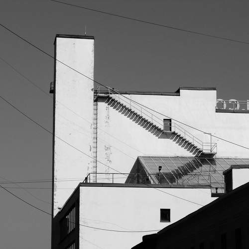 Photo #11115611