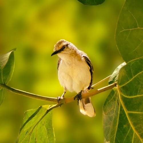 Photo #11115770