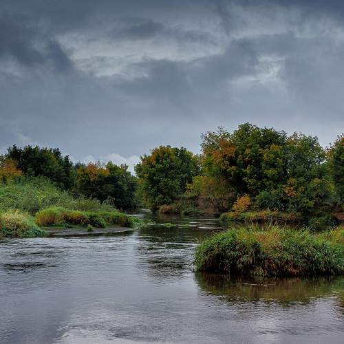 Photo #11115905