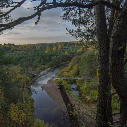 Photo #11116050