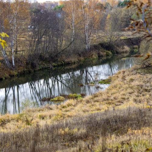 Photo #11116466