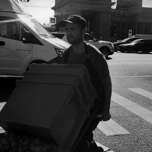 Photo #11116941