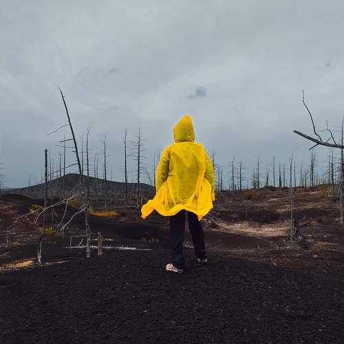 Photo #11117206