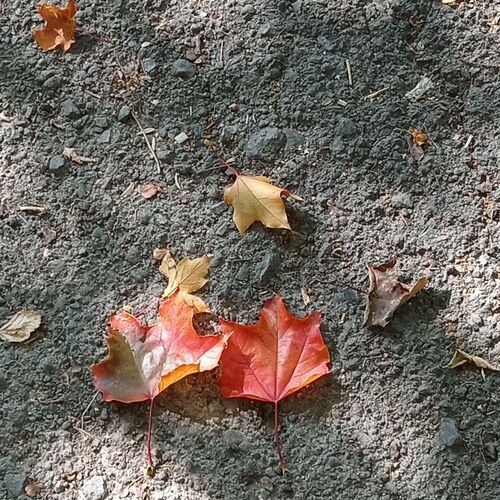 Photo #11117214