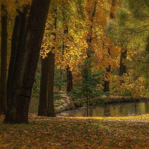 Фотография #11117535