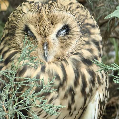 Photo #11117594