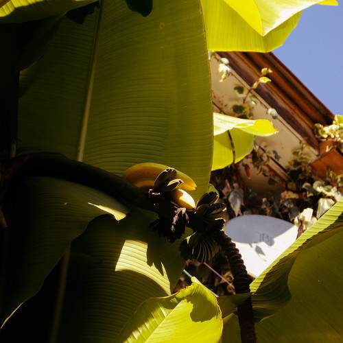 Photo #11117601