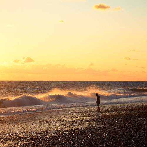 Photo #11117602