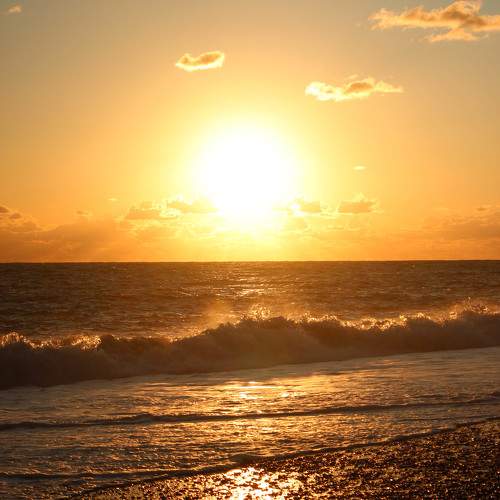 Photo #11117603