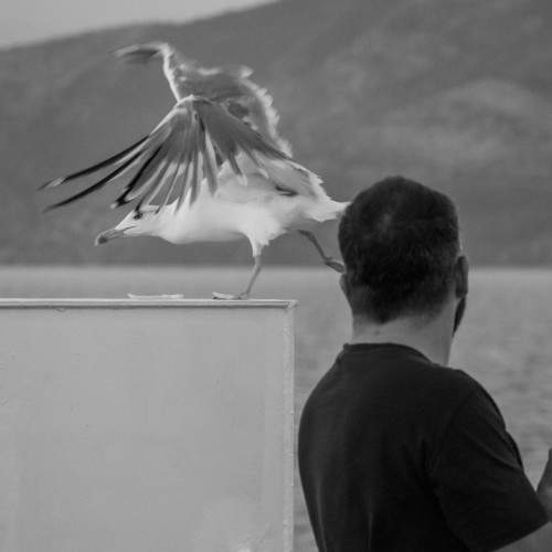 Фотография #11117714