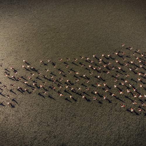 Фотография #11118061