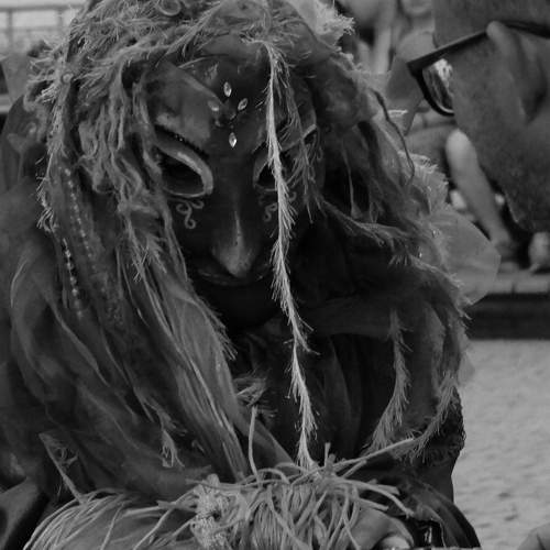 Photo #11118124