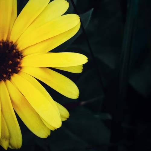 Photo #11118154