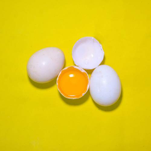Photo #11118227