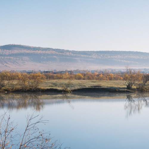 Photo #11118664