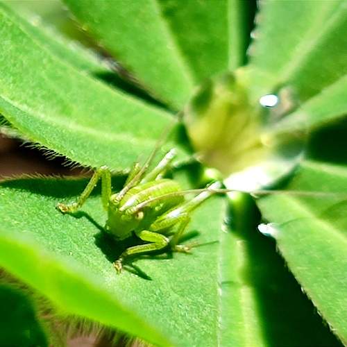 Photo #11118745