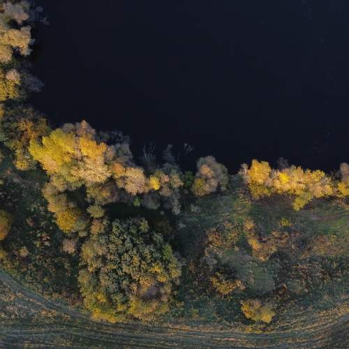 Photo #11118775