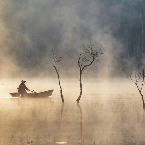 Photo #11118925