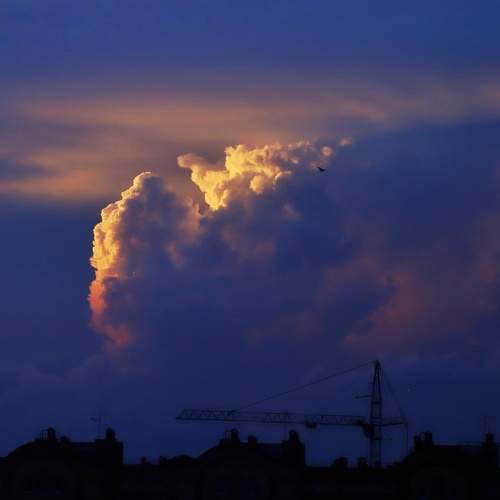 Photo #11119093
