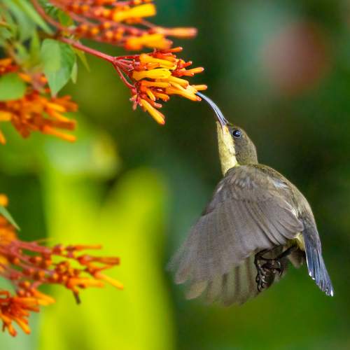 Photo #11119194