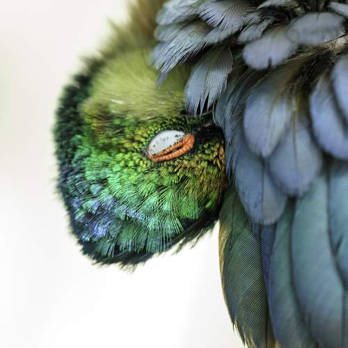 Photo #11119231