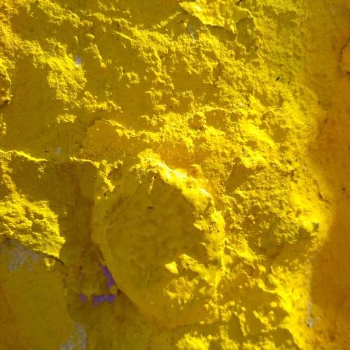 Photo #11119240