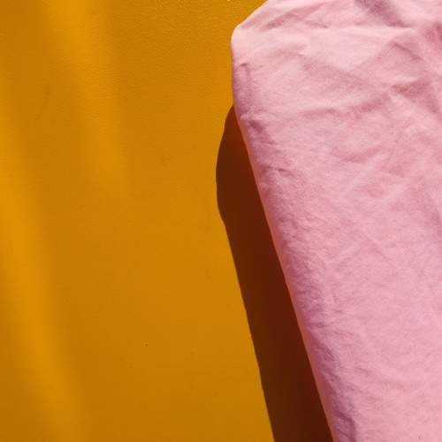 Photo #11119242
