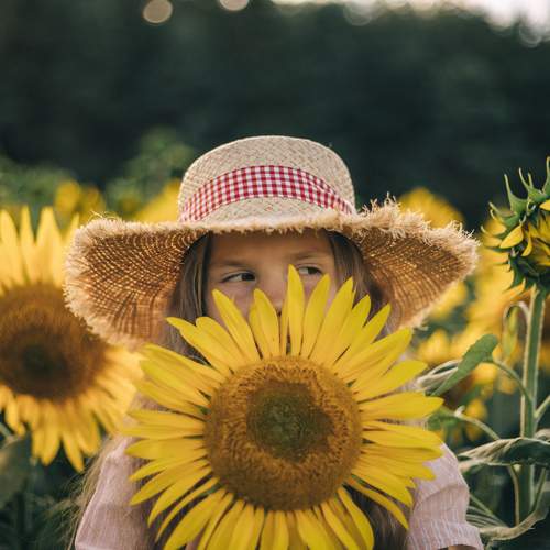 Photo #11119272