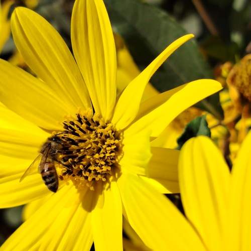 Photo #11119740