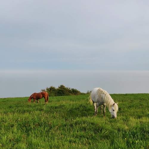 Photo #11119747