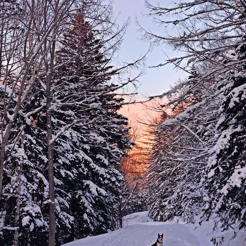 Photo #11119750