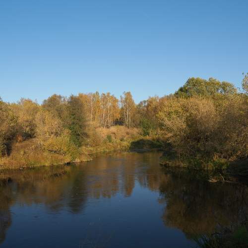 Photo #11119785