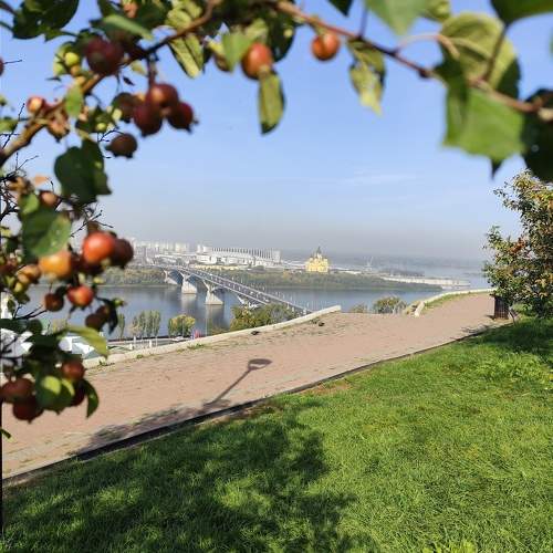 Photo #11119941