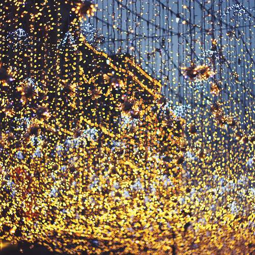 Photo #11119981