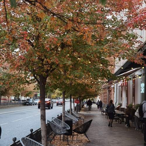 Photo #11120163