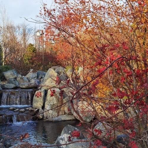 Photo #11120164