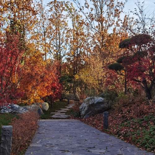 Photo #11120167