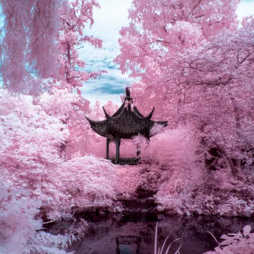 Photo #11120211