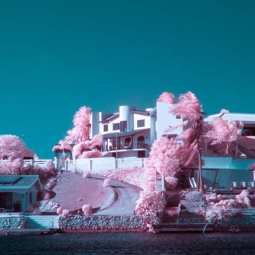 Photo #11120239