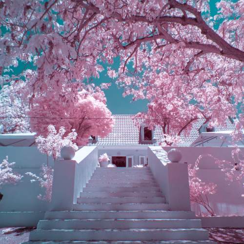 Photo #11120240