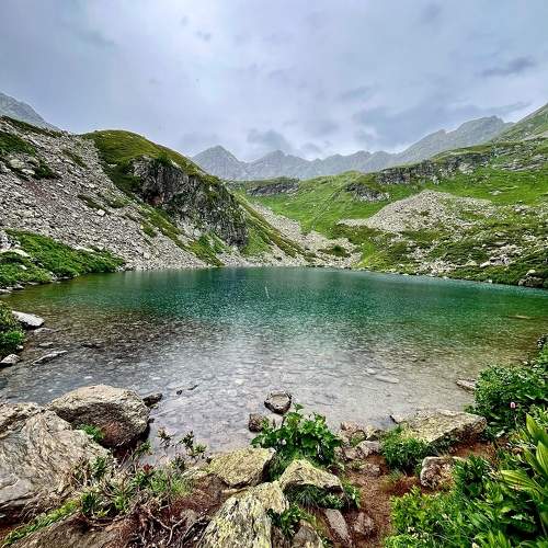 Photo #11120553