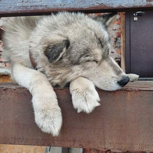 Photo #11120559