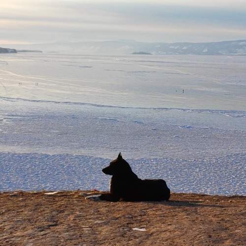Photo #11120582